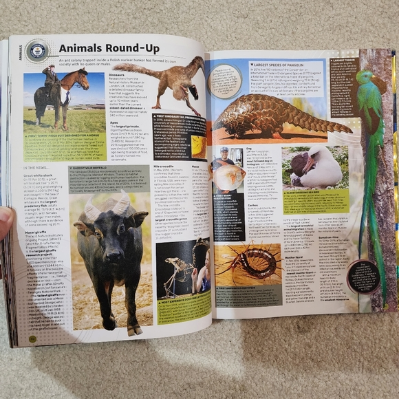 Guinness book of world records book 2018 - Picture 3 of 5